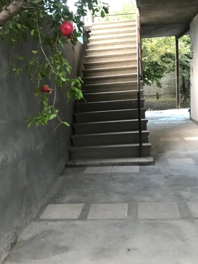 Guesthouse "Kistauri" เทลาวี ภายนอก รูปภาพ