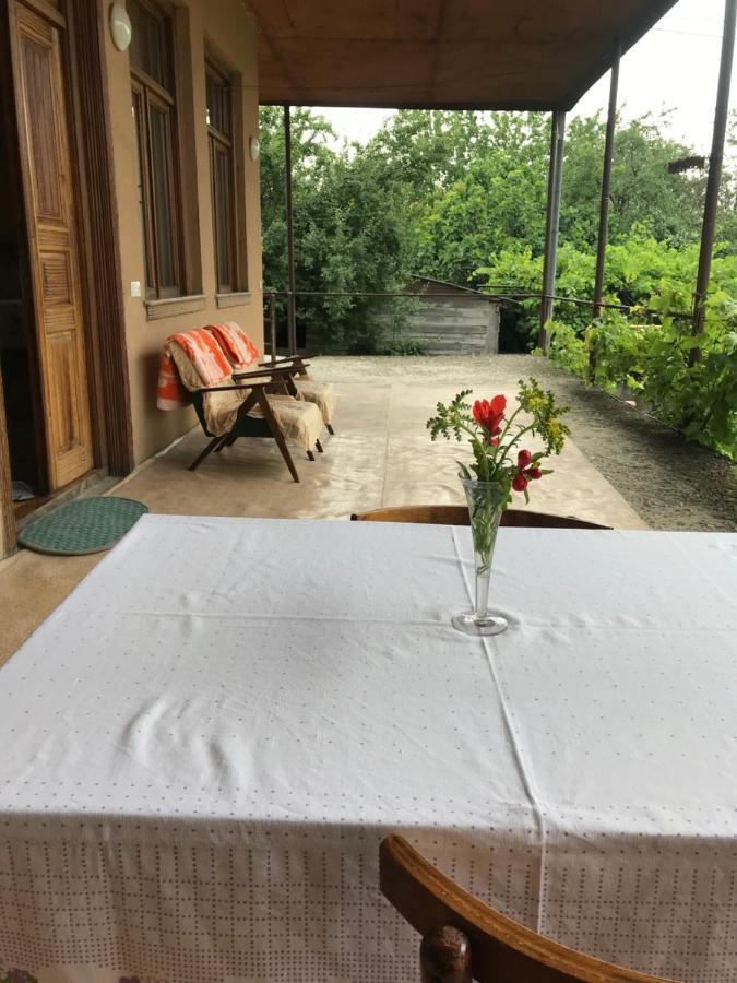 Guesthouse "Kistauri" เทลาวี ภายนอก รูปภาพ