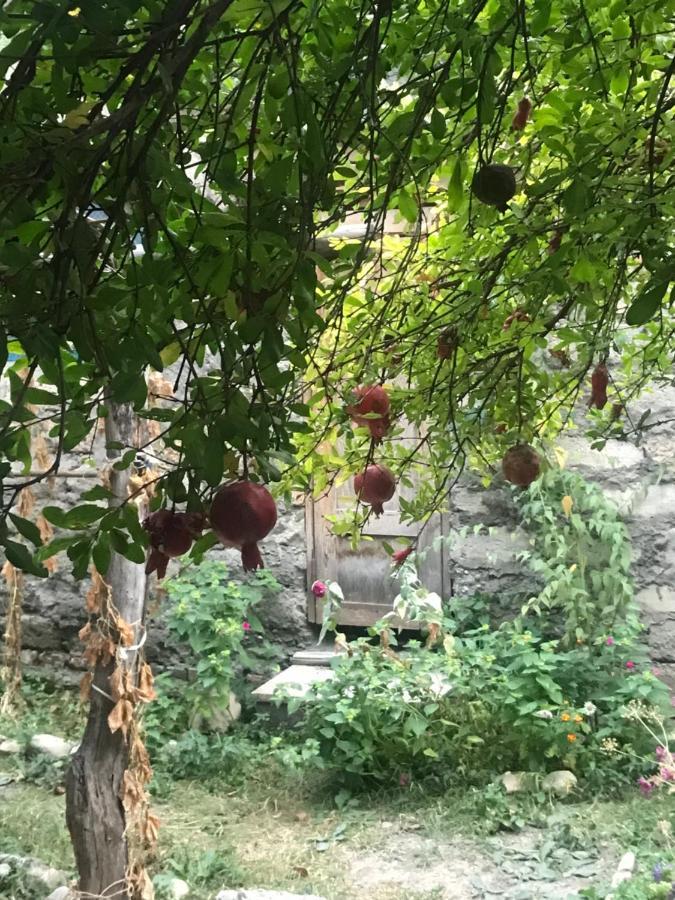 Guesthouse "Kistauri" เทลาวี ภายนอก รูปภาพ