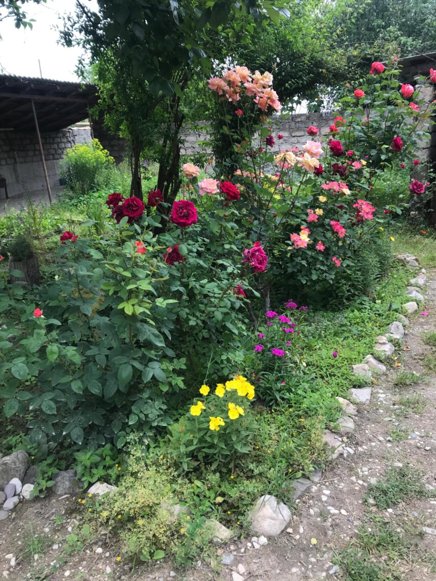 Guesthouse "Kistauri" เทลาวี ภายนอก รูปภาพ