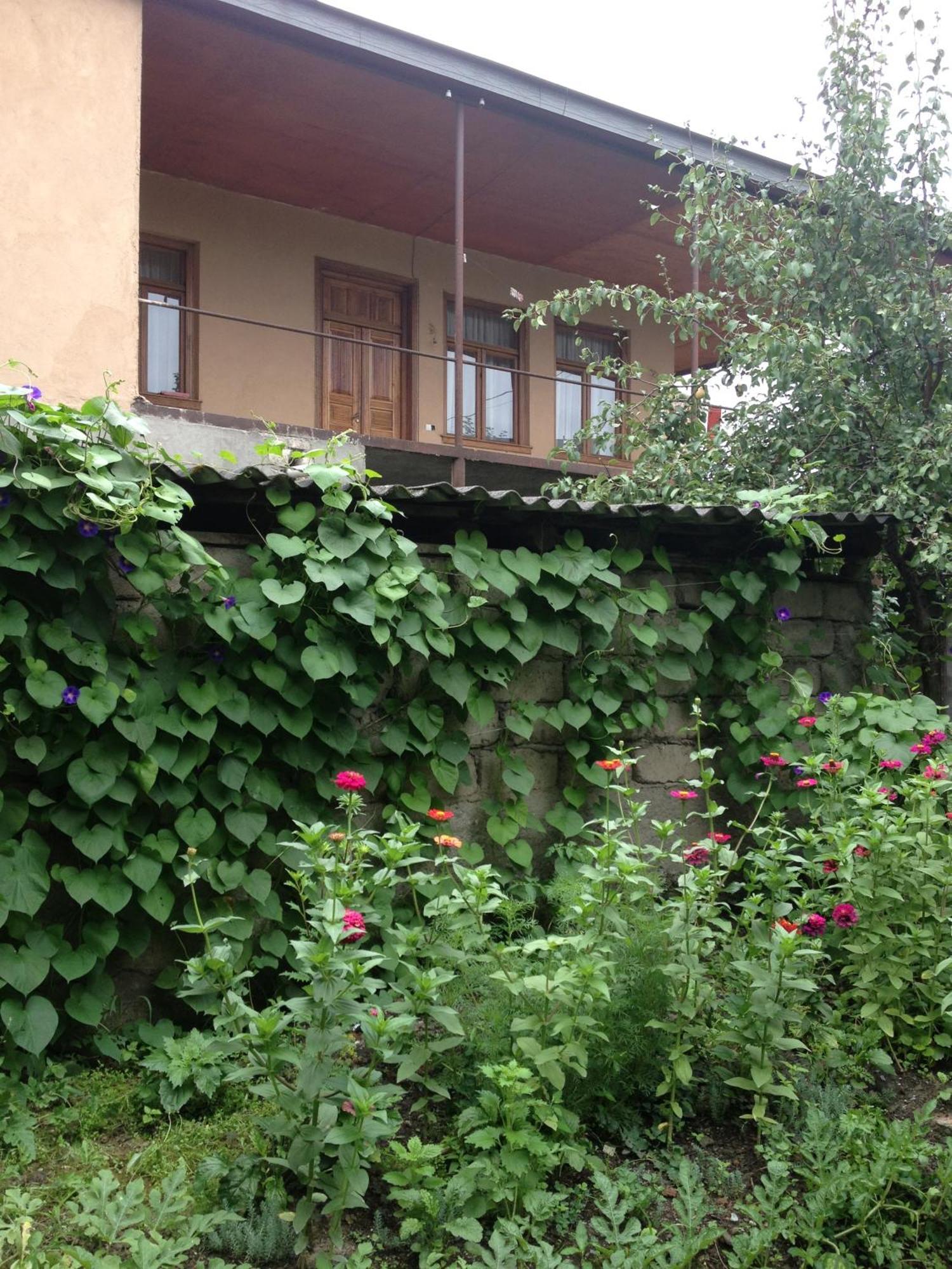 Guesthouse "Kistauri" เทลาวี ภายนอก รูปภาพ